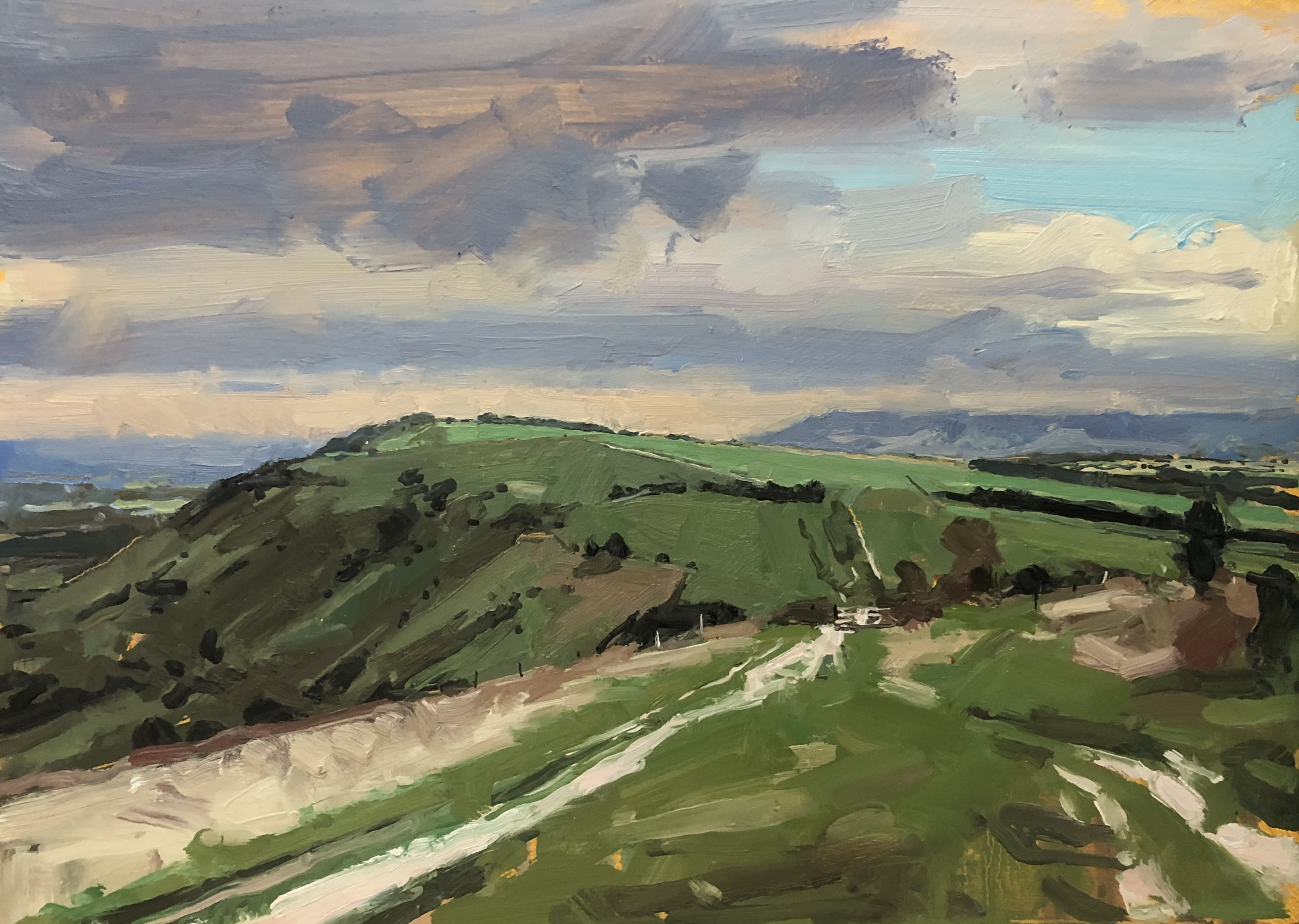South Downs path, 2025